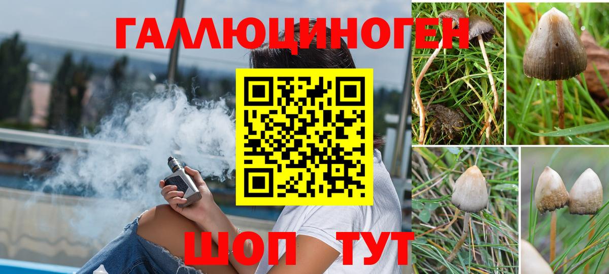 Галлюциногенные грибы мухоморы Будённовск
