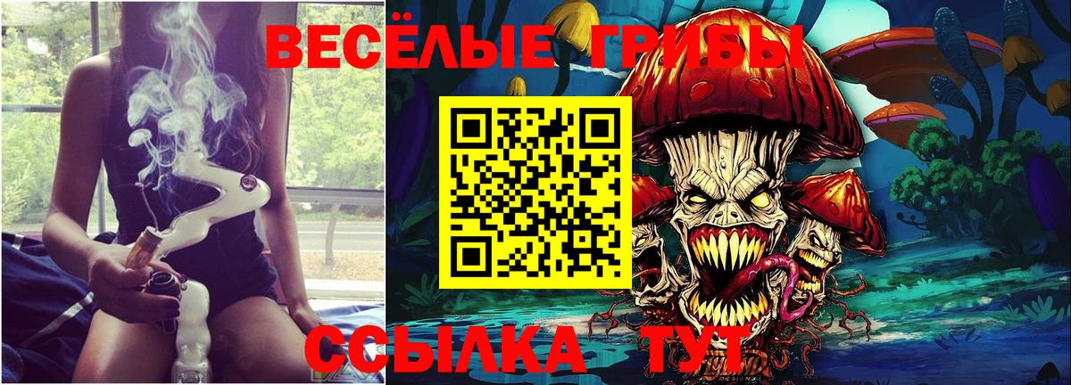 Alpha PVP Будённовск